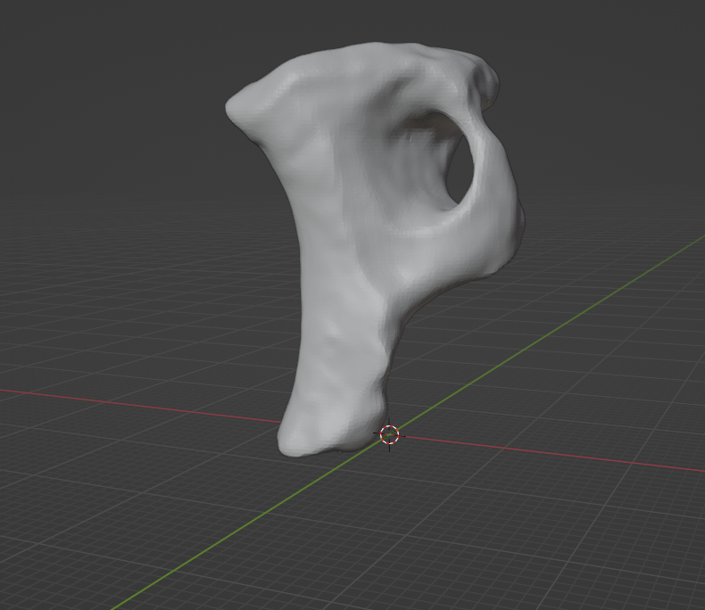 a 3D scan of the neck bone of a dimitridon, which is not a dinosaur!